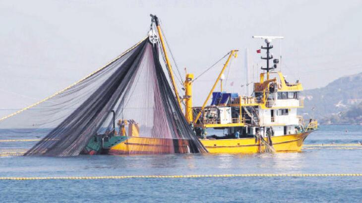 Ruhsatsız avlanan 169 gemiye el koyuldu