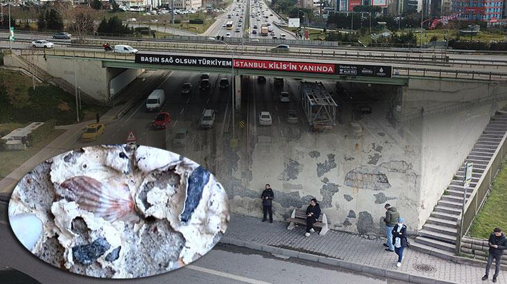 Betonunda midye kabukları ortaya çıkan köprü tedirgin etti
