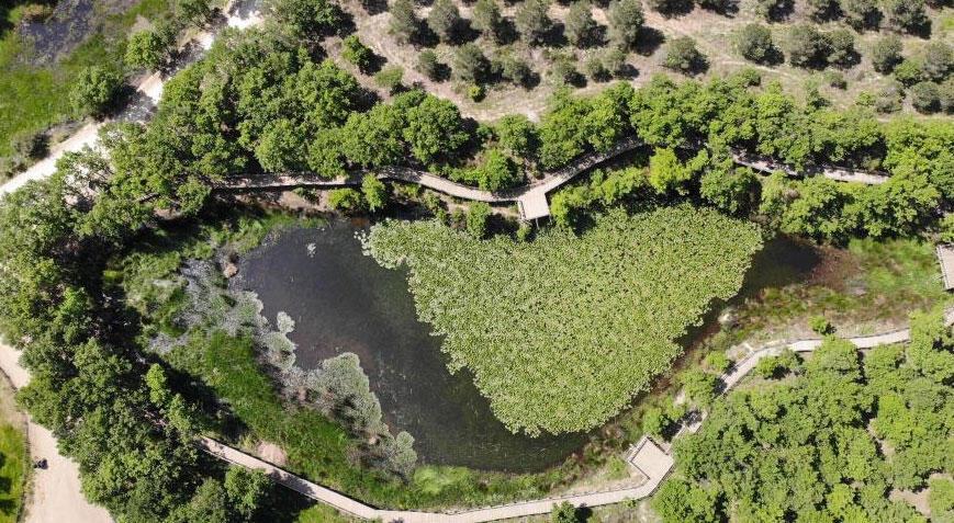 Bu çiçeği koparan yandı! Cezası tam 244 bin TL