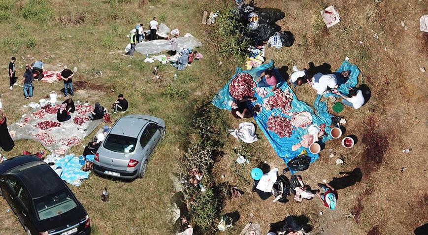 Esenyurt’ta boş arsalar kesimhaneye döndü! Kesilen kurbanlıklar kepçelere asıldı