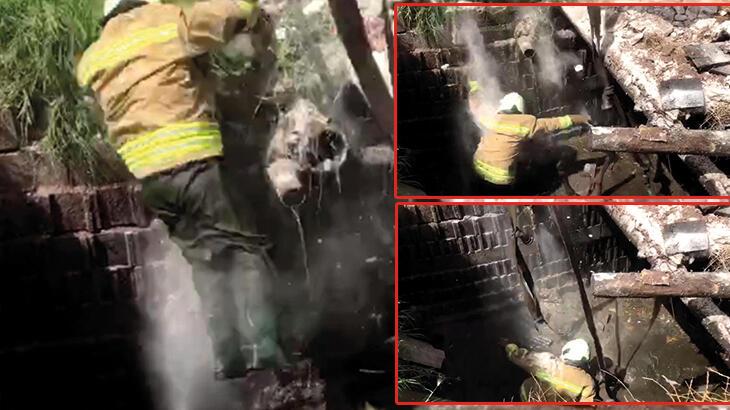 İtfaiye eri kurtarmaya çalıştığı eşekle birlikte foseptik çukuruna düştü