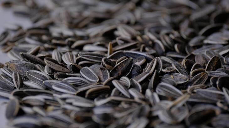 2023’ün en ilginç şikayetleri: Çekirdek paketinin içinden yılan kafası çıktı!