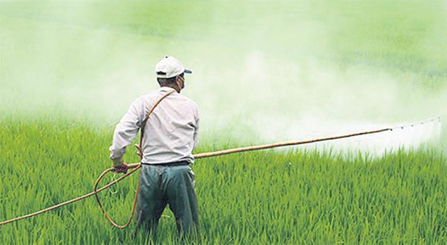 Parayı veren ölümü saçar! Bayer Türkiye’de de mahkemelik oldu