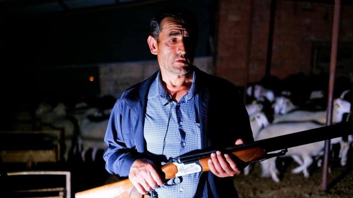 Edirne’de köy halkının başı kurtlarla belada… Çözümü bakın nasıl buldular