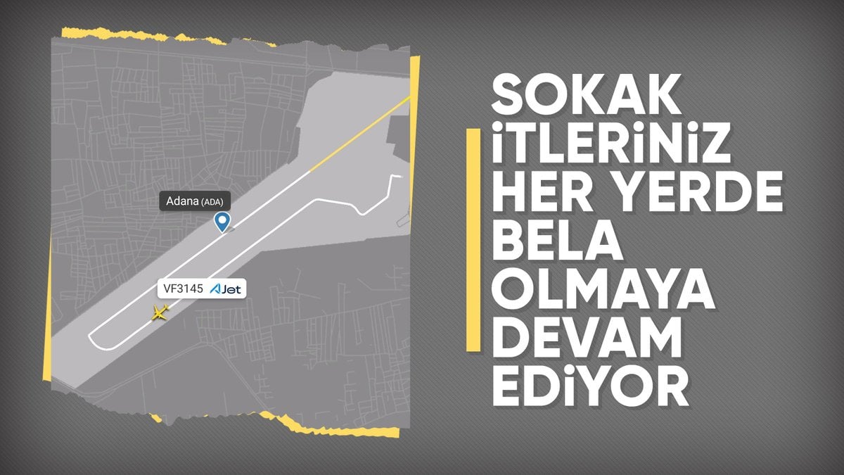 Adana-İstanbul seferine hazırlanan uçak, pistteki köpek yüzünden durdu