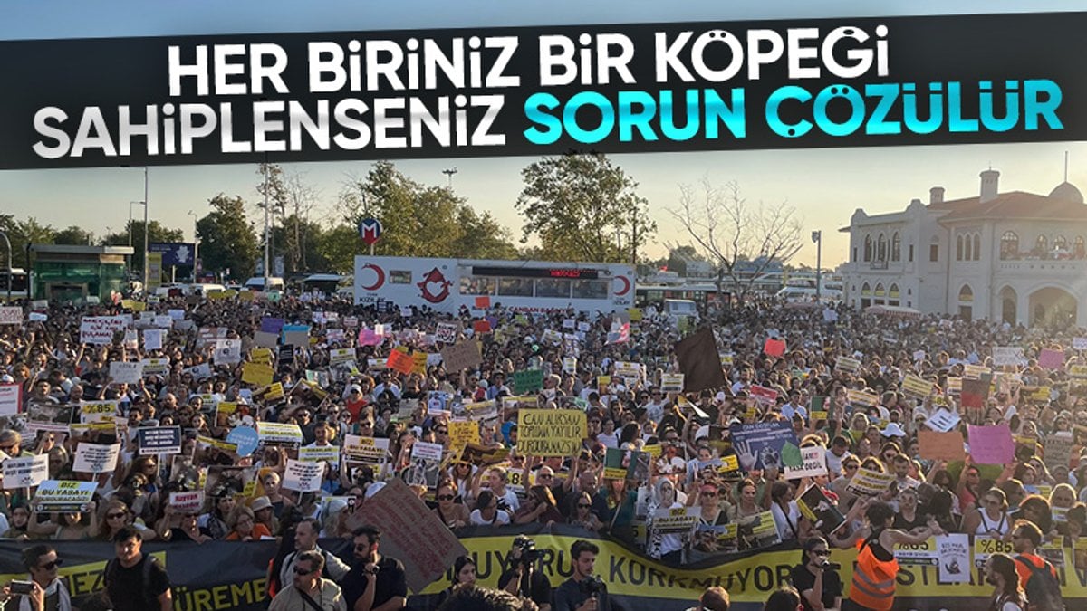Kadıköy’de toplanan hayvanseverler kanun teklifini protesto etti