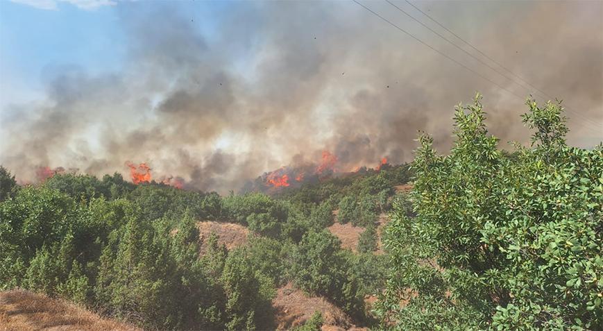 Bingöl’de orman yangınI! Ekipler müdahale ediliyor