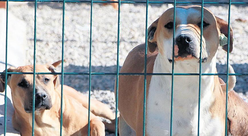 CHP yasayı AYM’ye taşıyacak