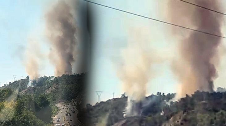 Köyceğiz’de orman yangını! Havadan ve karadan müdahale