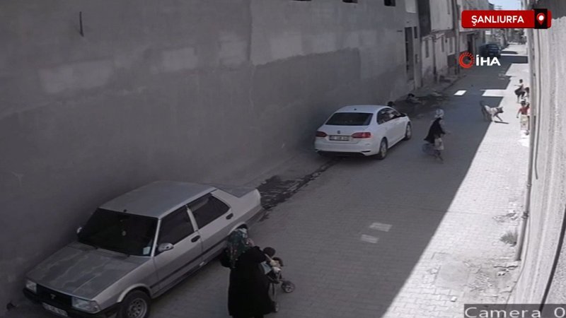 Şanlıurfa’da sokak köpeğinin çocuklara saldırısı kameraya yansıdı