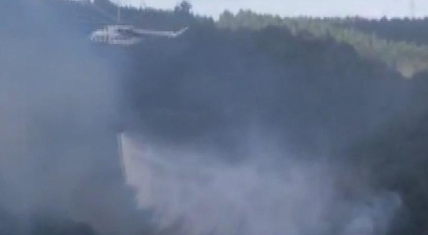 Sultangazi Kent Ormanı’nda yangın! Ekipler müdahale ediyor