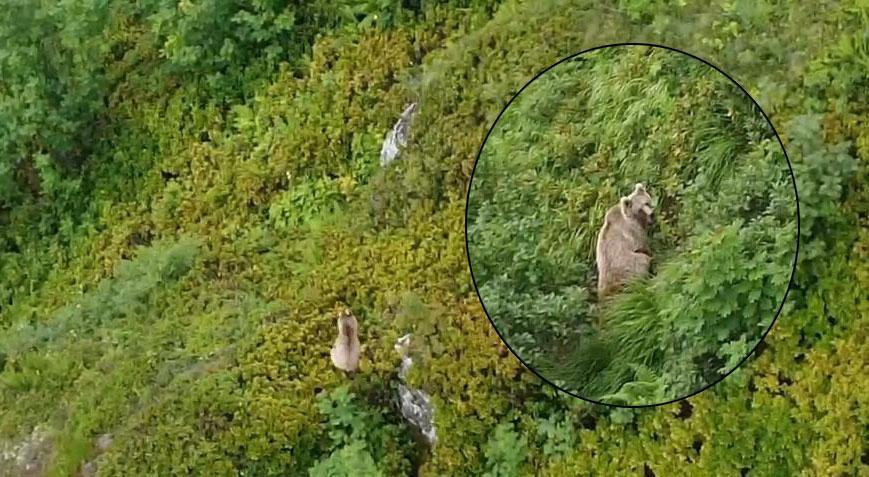 Yer: Rize! Görüntülendiğini anlayınca poz verdi