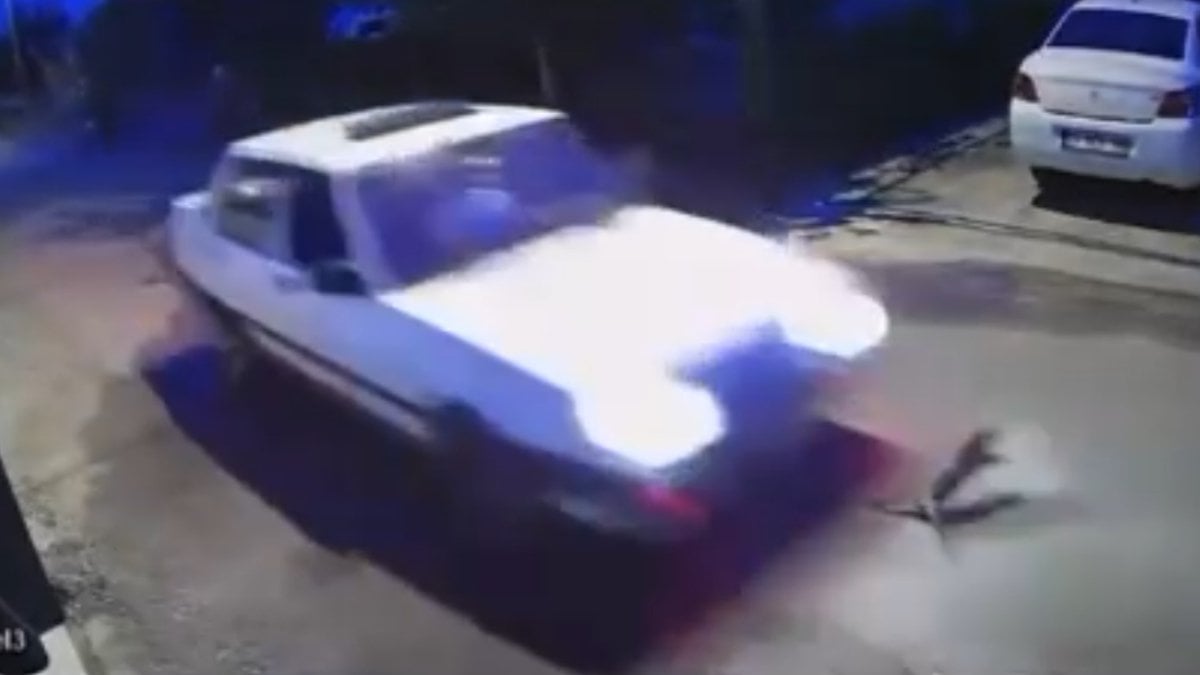 Antalya’da önüne çıkan kediyi ezip yoluna devam etti