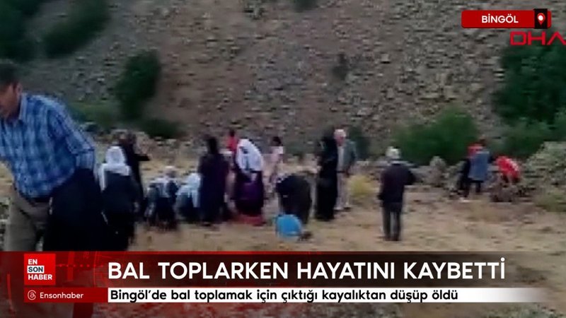 Bingöl’de bal toplamak için çıktığı kayalıktan düşüp öldü