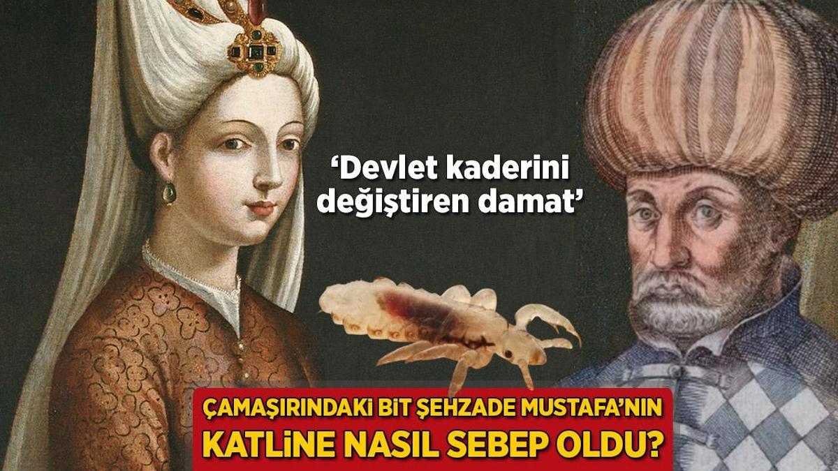 Çamaşırdaki bit Şehzade Mustafa’nın katline nasıl sebep oldu? ‘Devlet kaderini değiştiren damat’