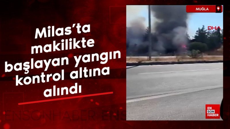 Muğla Milas’ta orman yangını