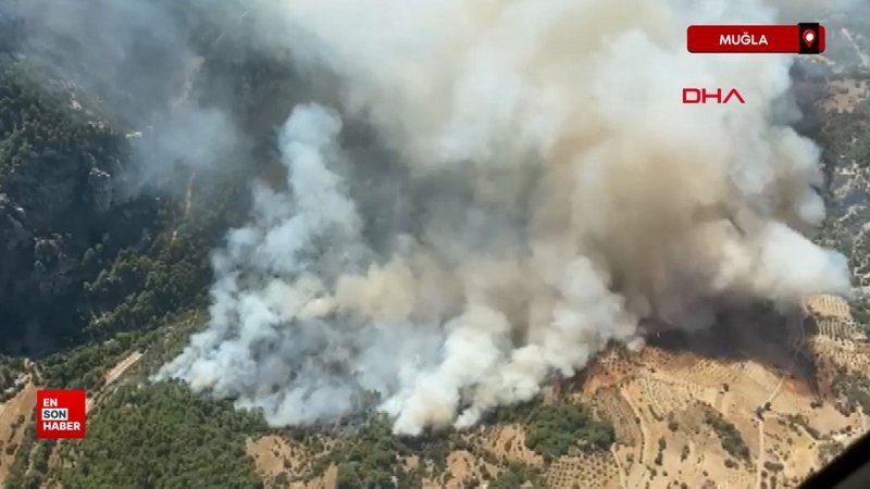 Muğla’da orman yangını çıktı