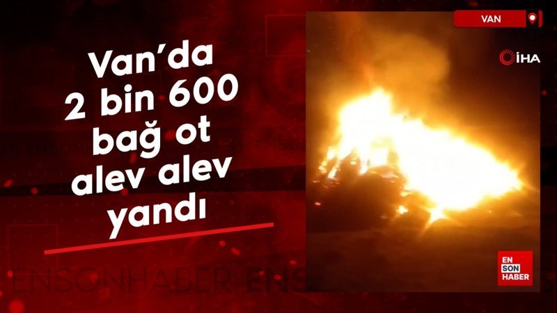 Van’da 2 bin 600 bağ ot alev alev yandı