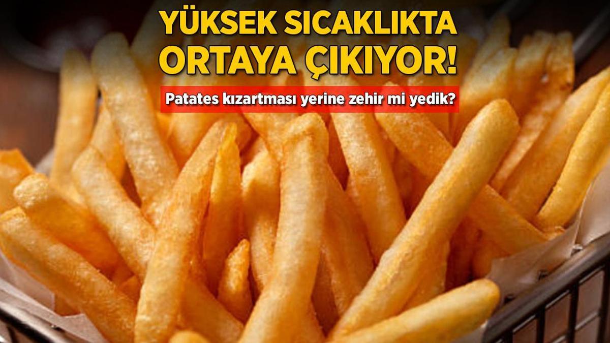 Yüksek sıcaklıkta ortaya çıkıyor! Patates kızartması yerine zehir mi yedik?